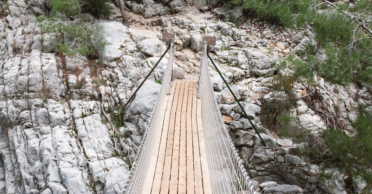 Bridge over Ravine · Free Stock Photo