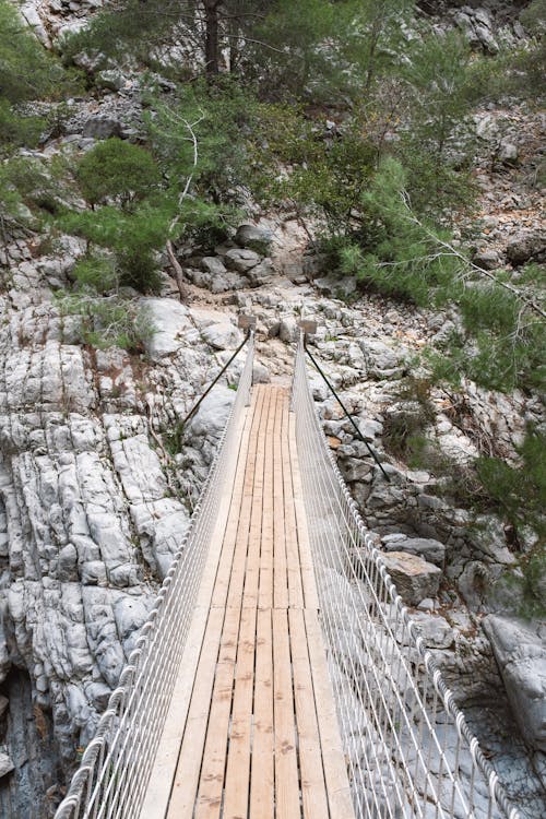 Bridge over Ravine · Free Stock Photo