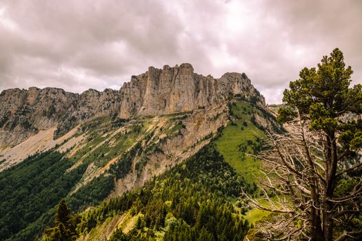 L'émerveillement alpin : Des rochers, des arbres et une nature luxuriante en harmonie
