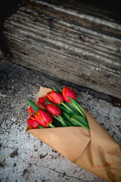 Red Tulips Wrapped in Paper