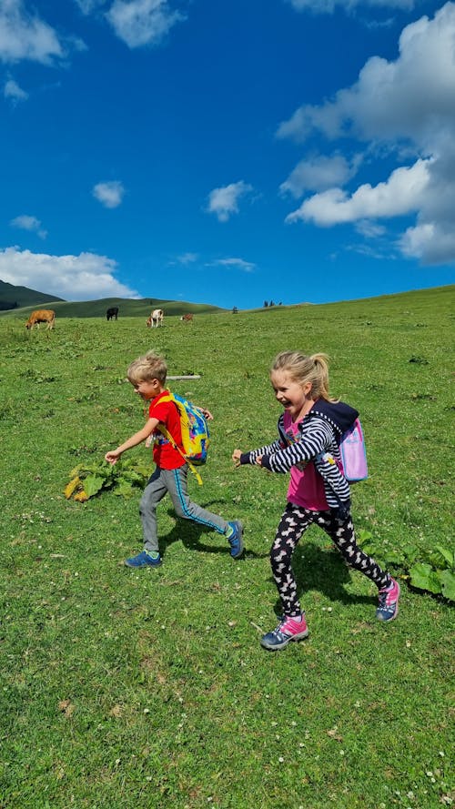 Free Happy Children Running Together in Meadow Stock Photo