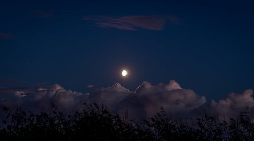Free Scenic View Of Night Sky Stock Photo