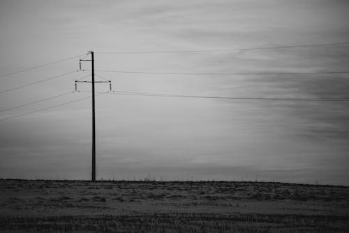 Pole and Power Lines
