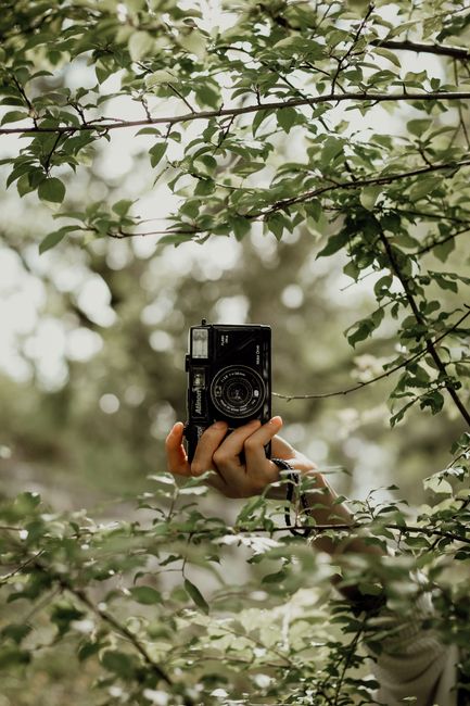 A hand holding a vintage camera amidst vibrant green leaves, creating a natural bokeh effect.
