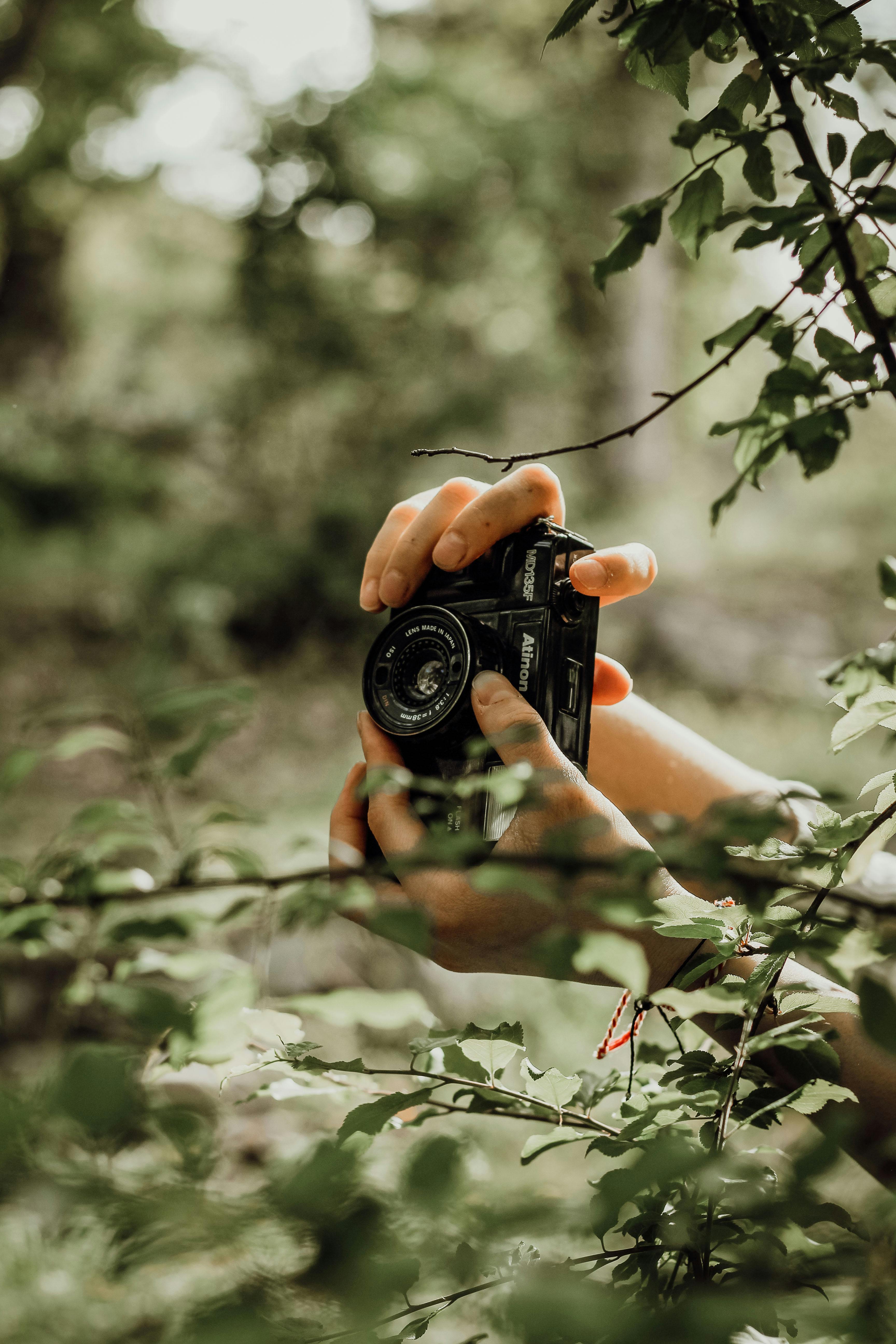 Hands Holding a Camera in the Bush · Free Stock Photo