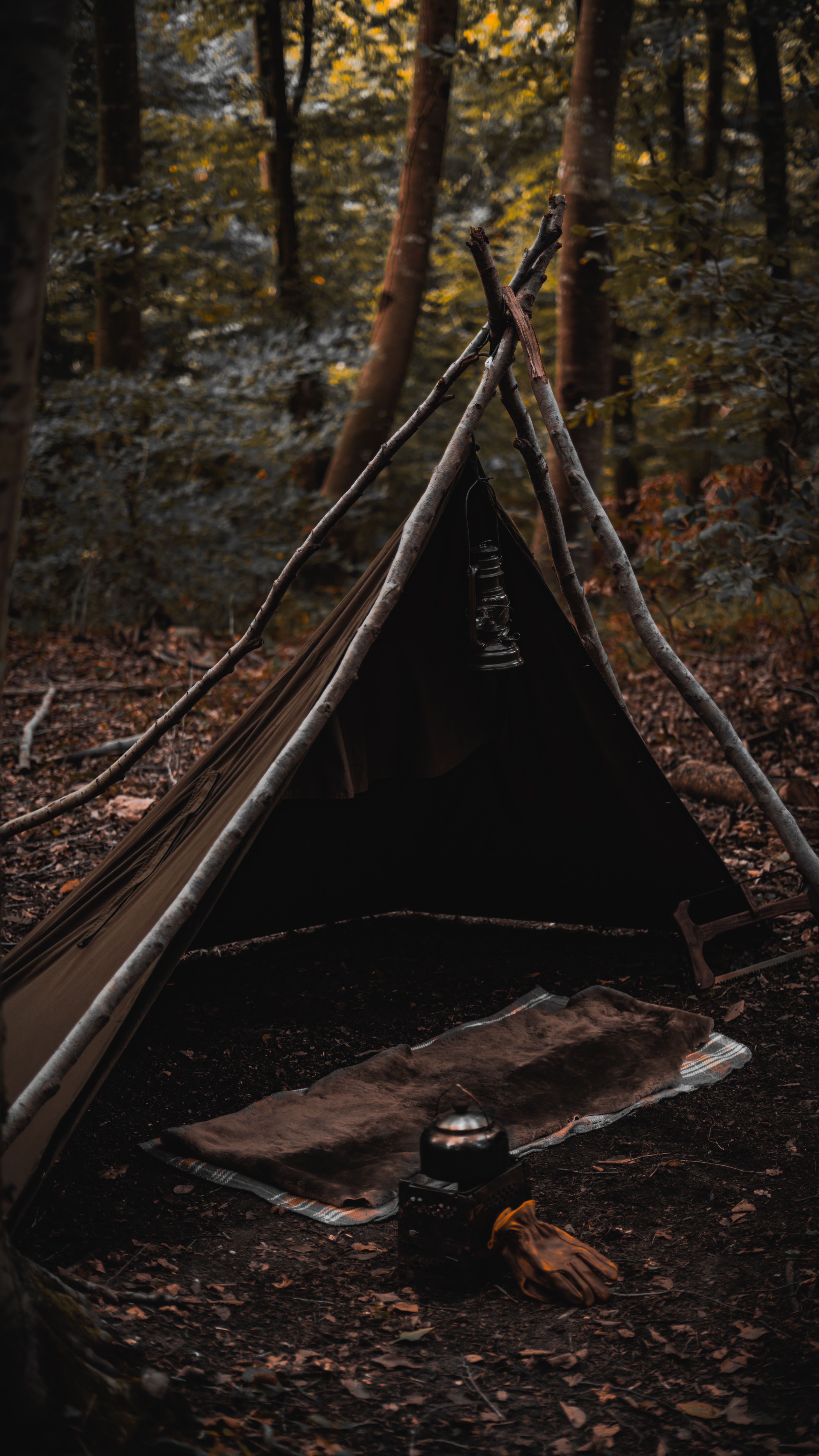 Wilderness survival camp setup in forest with tent, lantern and camping equipment