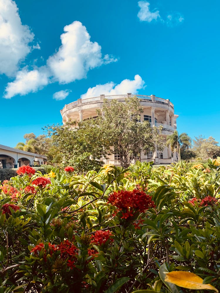 Plants And Flowers In Garden With Building Behind