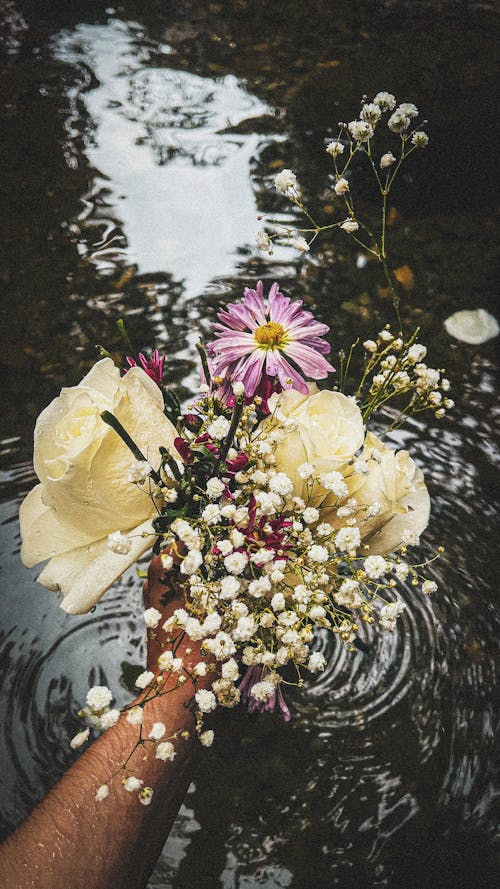 Fotobanka s bezplatnými fotkami na tému diaľničná nálepka, jazierko, kvety