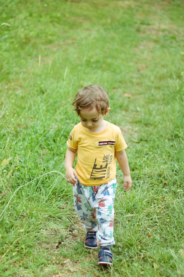 Toddler Walking Through Grass