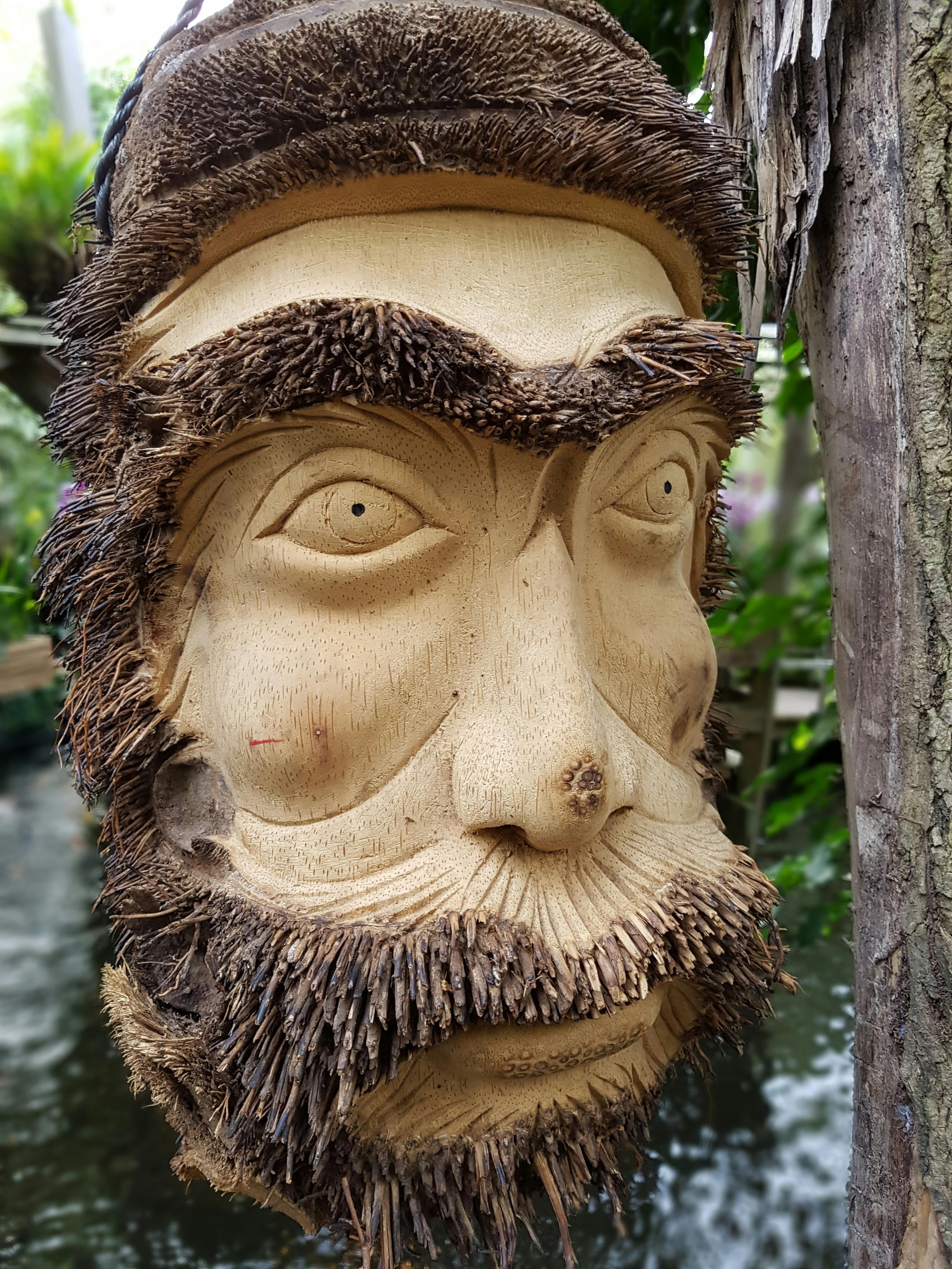 Free stock photo of Head sculpture, Woodcarving