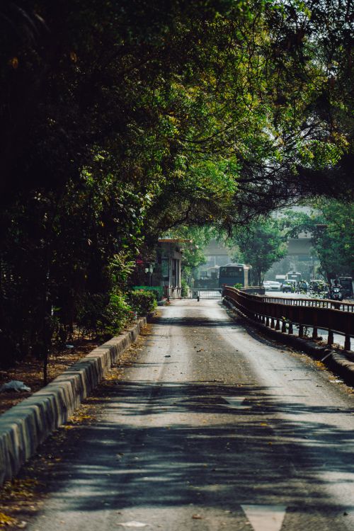 Free Dappled sunlight on a quiet road lined with trees in Ahmedabad, India. Stock Photo