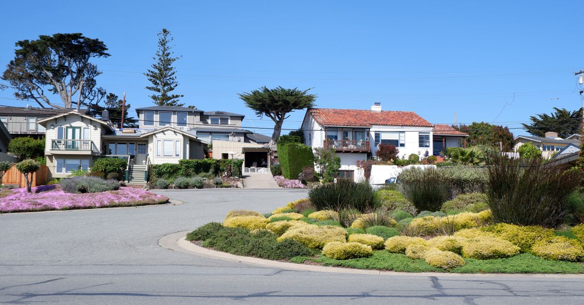Charming suburban homes with vibrant landscaping on a sunny day.