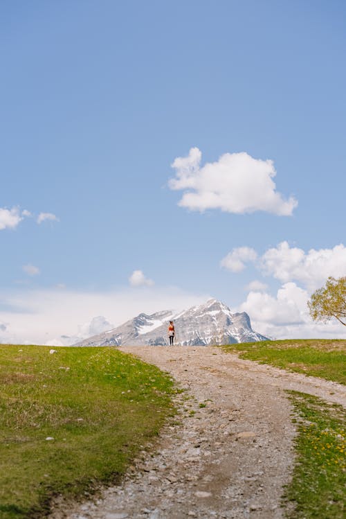 Kostenloses Stock Foto zu berg, feldweg, gras