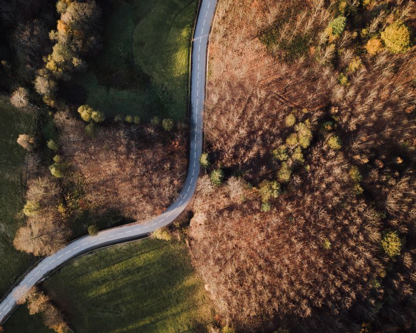 Stunning aerial shot of a curved road through a vibrant forest landscape.