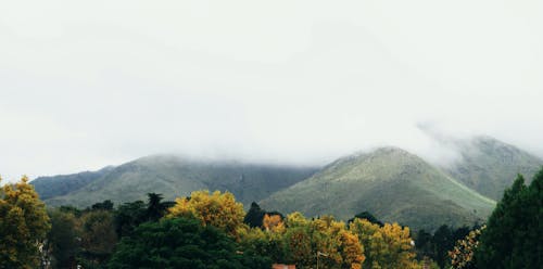 Základová fotografie zdarma na téma atmosfera de outono, biodiverzity, čistý vzduch