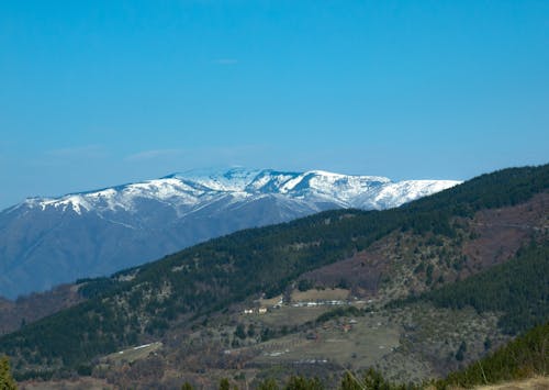 Landscape of Mountains Covered in Green Trees and Snowcapped Mountains in the Background