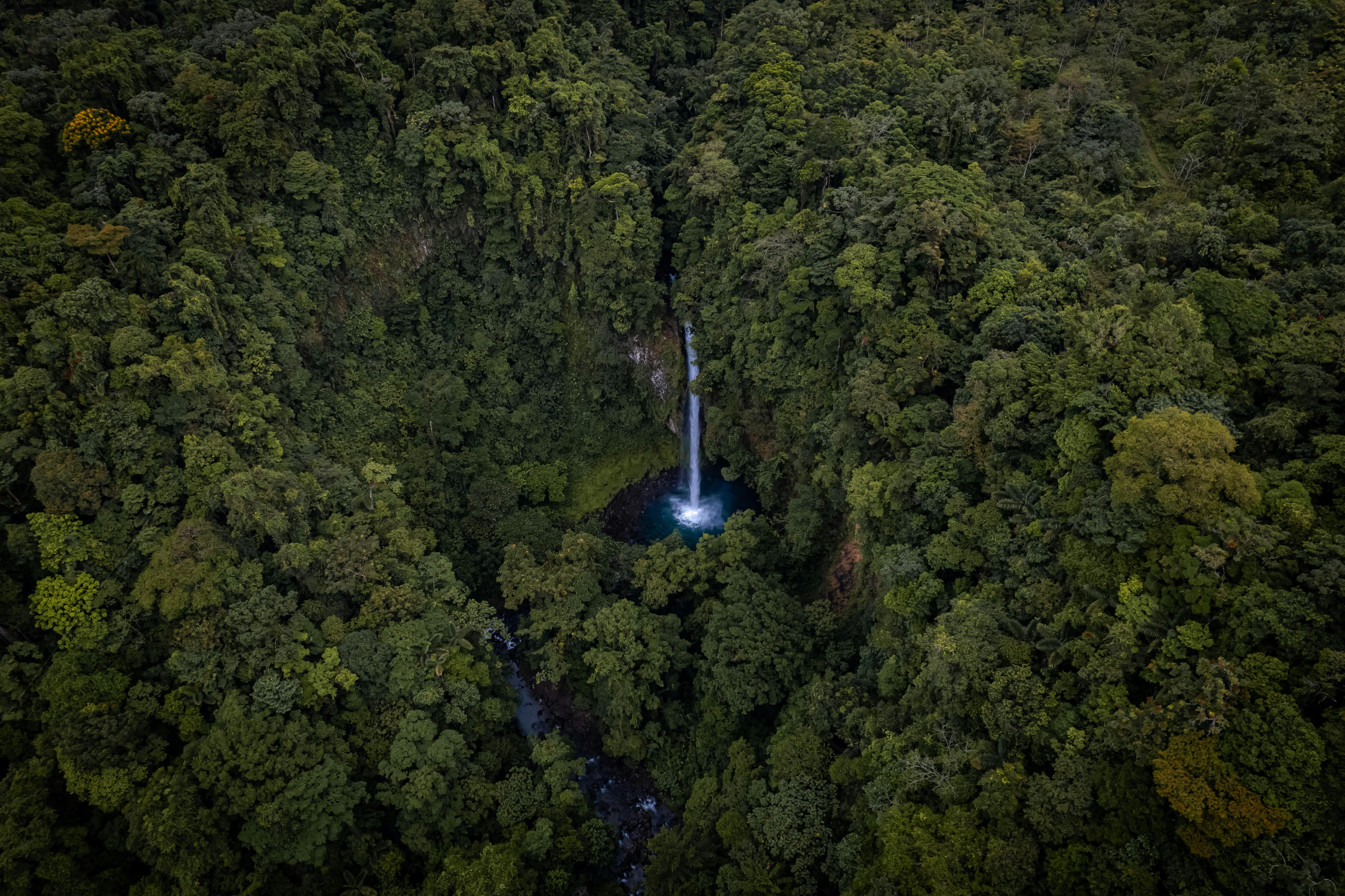 A breathtaking aerial shot of La Fortuna Waterfall surrounded by lush rainforest in Costa Rica. - La Fortuna