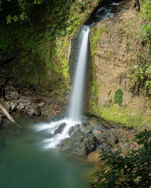 View of a Waterfall in a Forest 