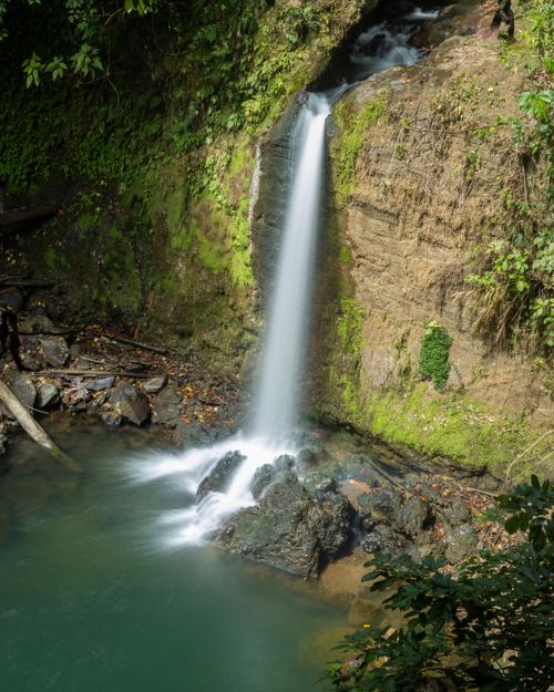 Free Beautiful waterfall flowing into a tranquil forest pool, surrounded by lush greenery. Stock Photo