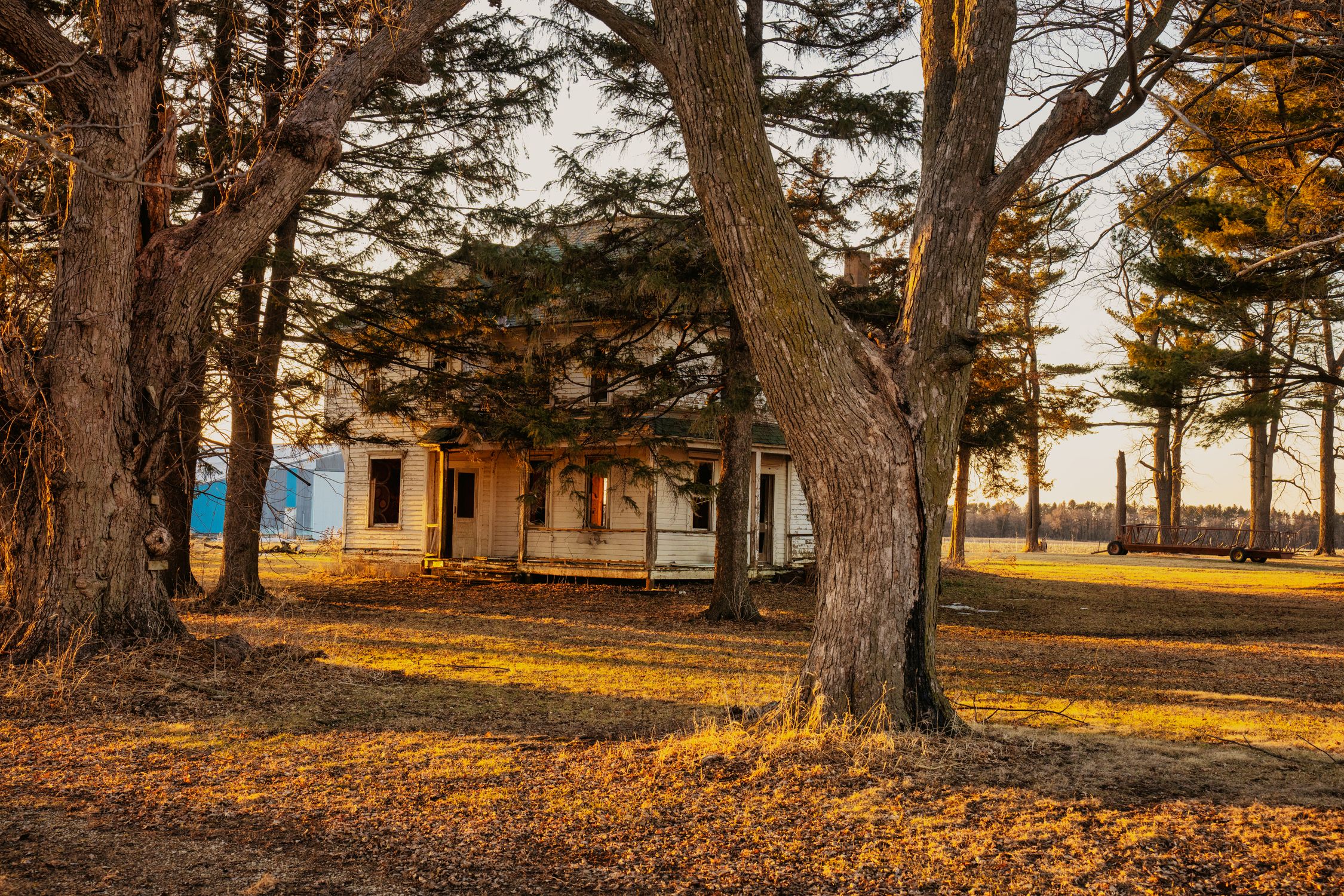 Wooden House Among Trees · Free Stock Photo
