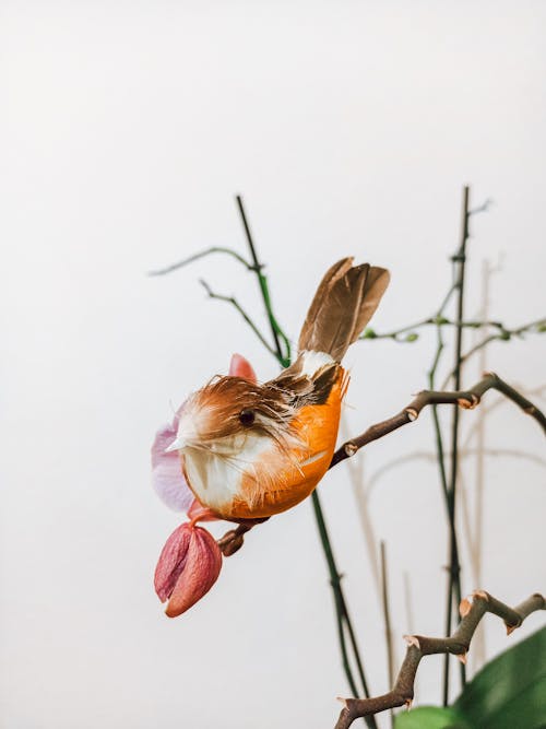 Bird on Branch with Flowers