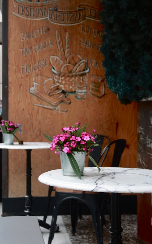 Potted Plants on Tables in a Restaurant 