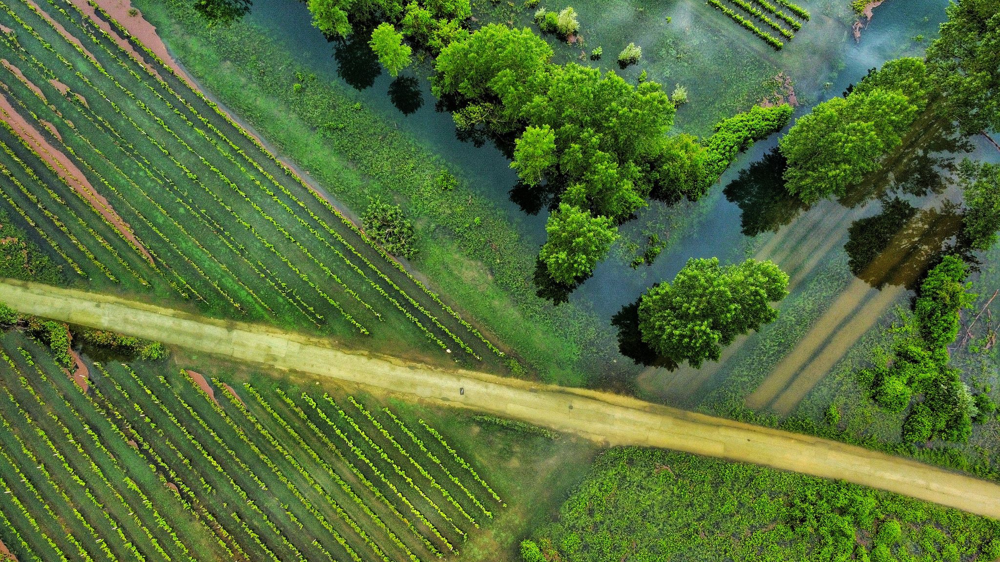 9 hectare land loopt vaker onder water voor natuurbehoud