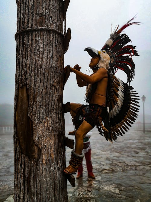 Native American Man in Traditional Clothing Climbing a Tree 