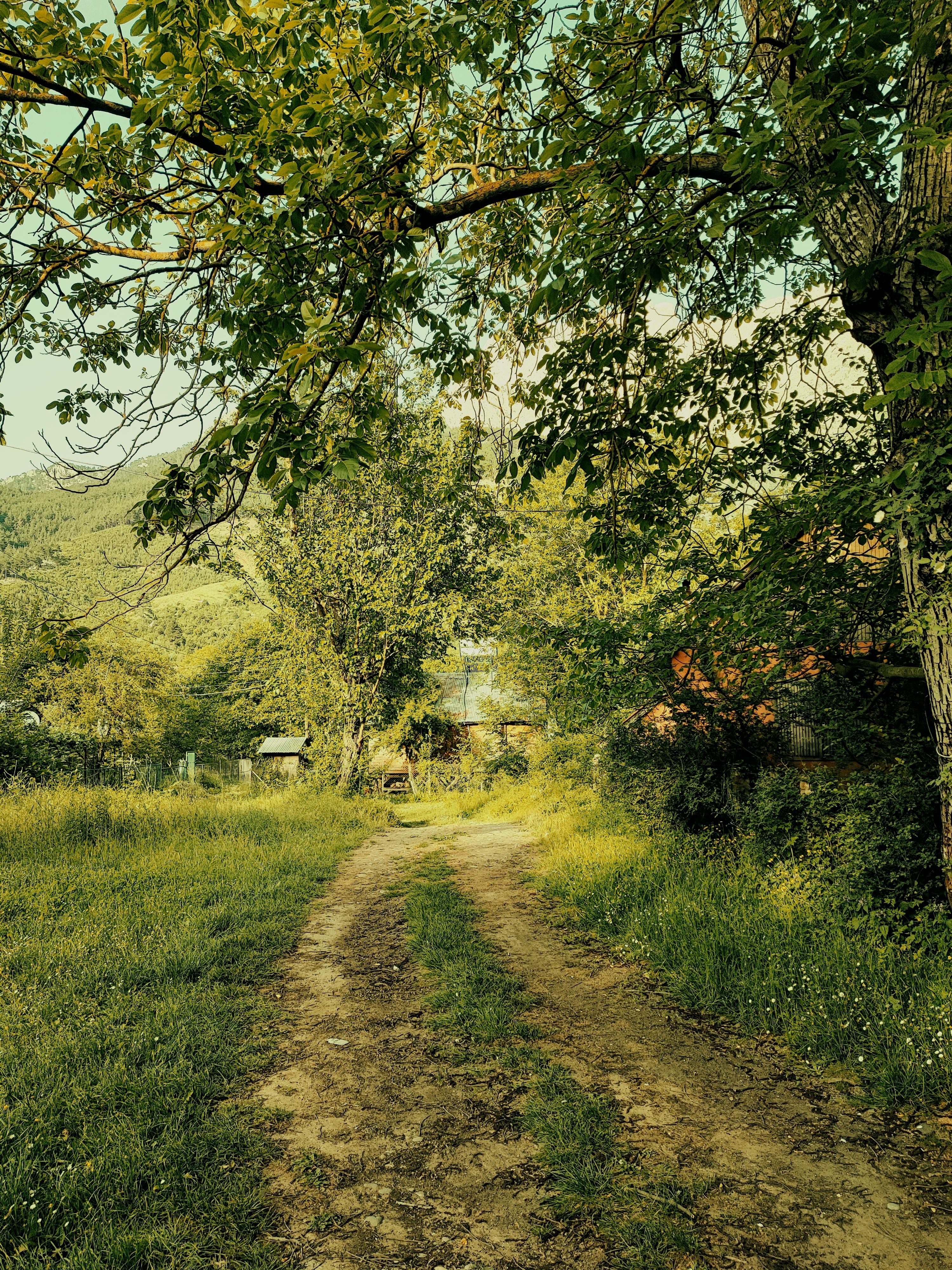 Fotomural Fotolia
