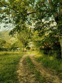 Tranquil scene of a dirt road through lush greenery in Belemedik, ideal for nature and countryside themes.