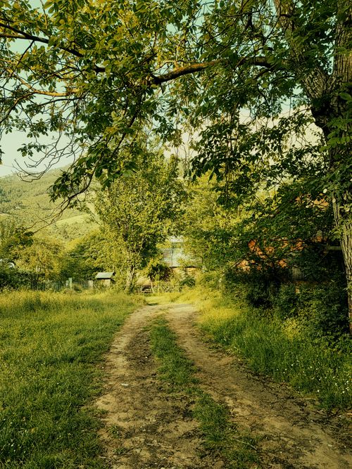 Free Tranquil scene of a dirt road through lush greenery in Belemedik, ideal for nature and countryside themes. Stock Photo