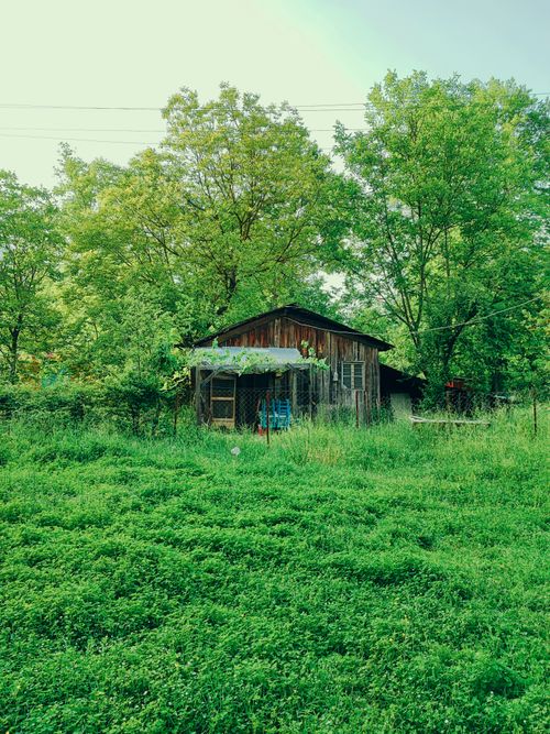 Free Charming rustic wooden house amid lush greenery in Belemedik, Türkiye. Stock Photo