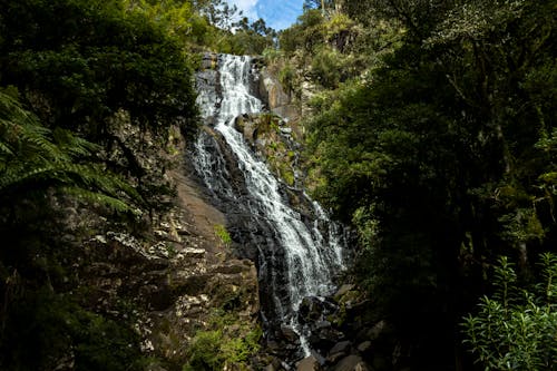 Immagine gratuita di acqua, cascata, montagna
