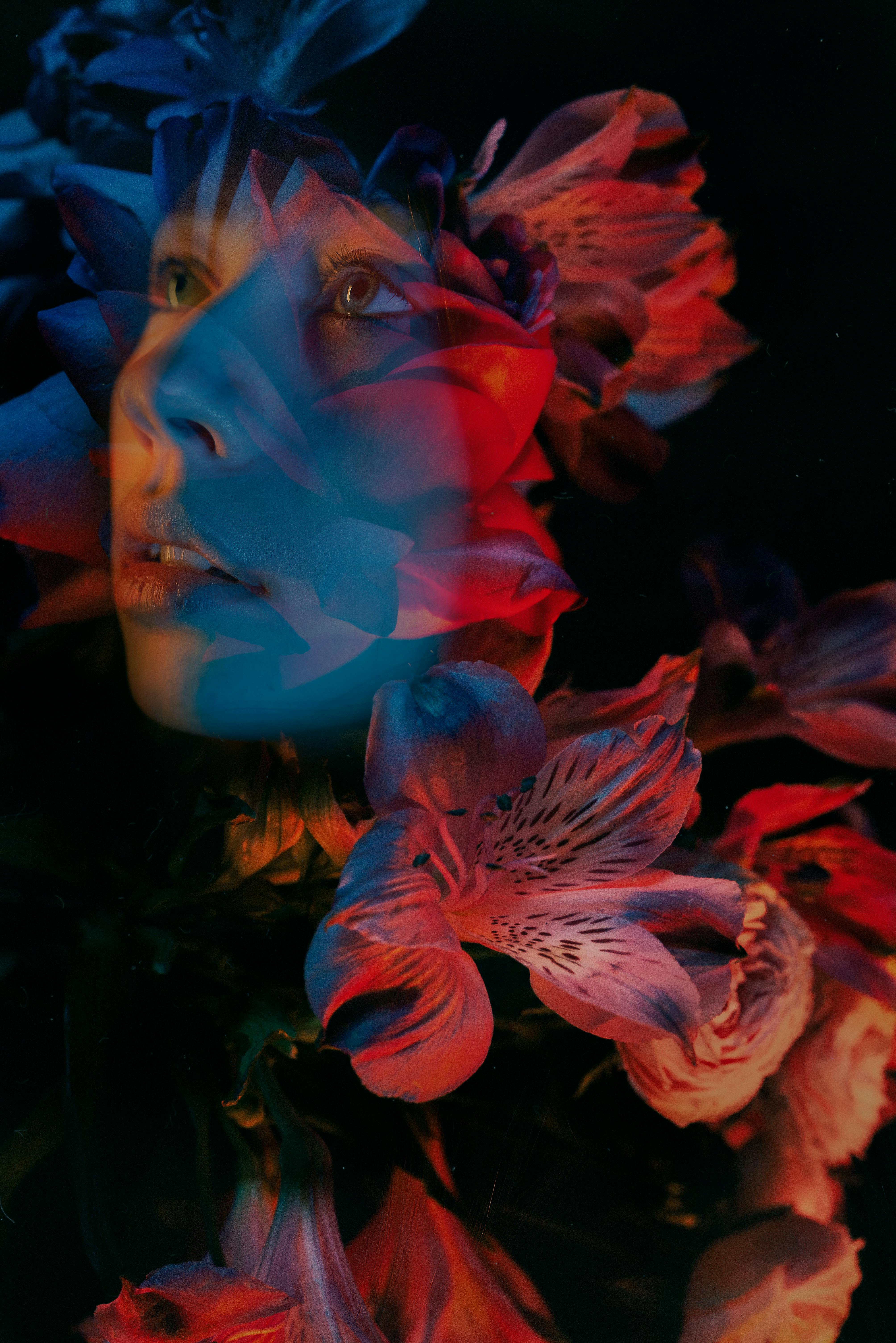 Gratis Fotos de stock gratuitas de abstracto, Arte, arte digital Foto de stock