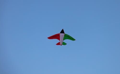 Бесплатное стоковое фото с воздушный змей, голубое небо, кувейт