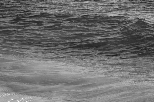 Free Black and white image of ocean waves showcasing textured water surface with natural patterns. Stock Photo