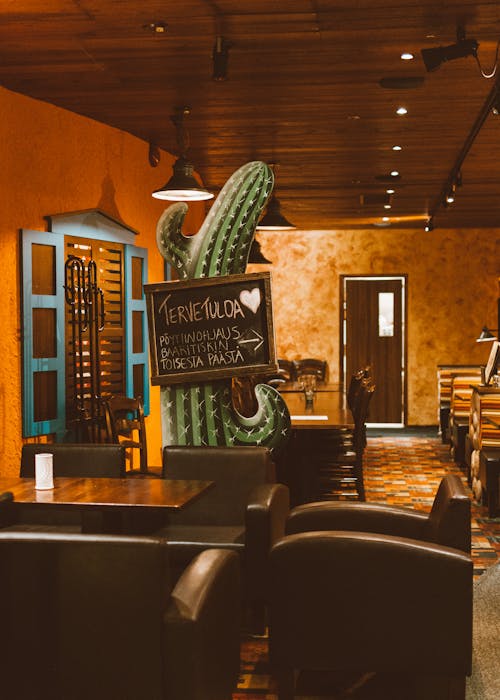 Foto d'estoc gratuïta de bar, butaques negres, cactus
