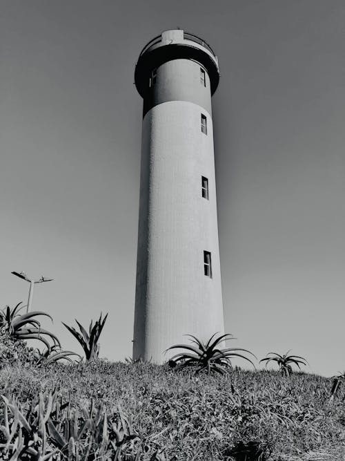 Photos gratuites de contre-plongée, monochrome, noir et blanc