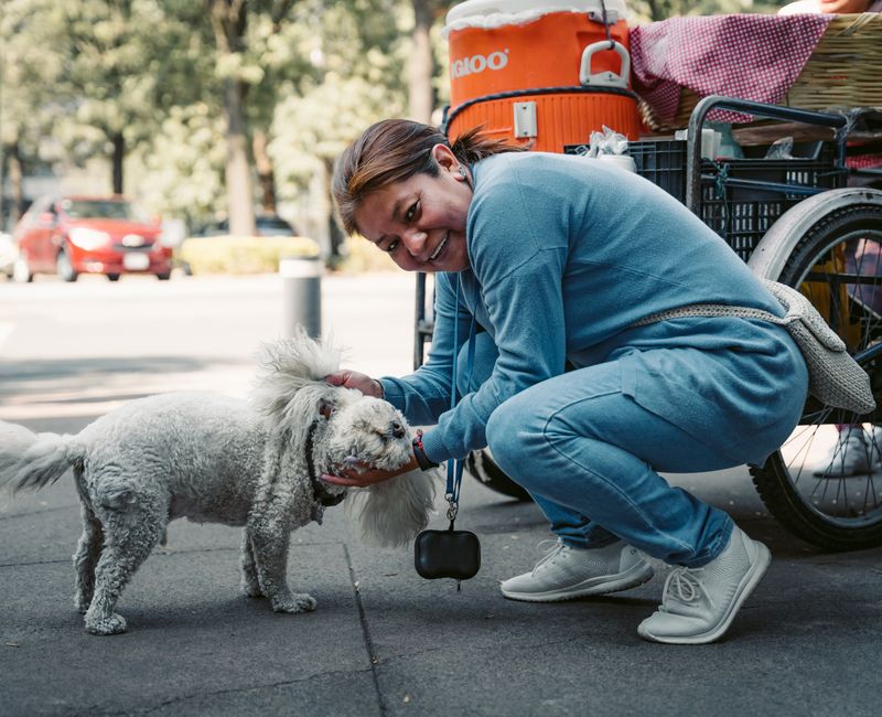 <span>Pet Parent Insight</span>