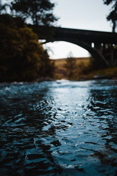 黄昏时分，风景优美的桥下流淌着宁静的河流，四周环绕着郁郁葱葱的树木