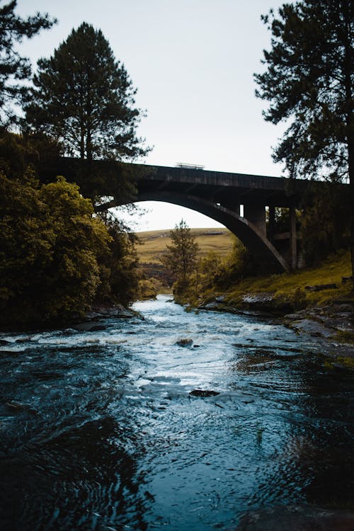 Brown Bridge Under the River