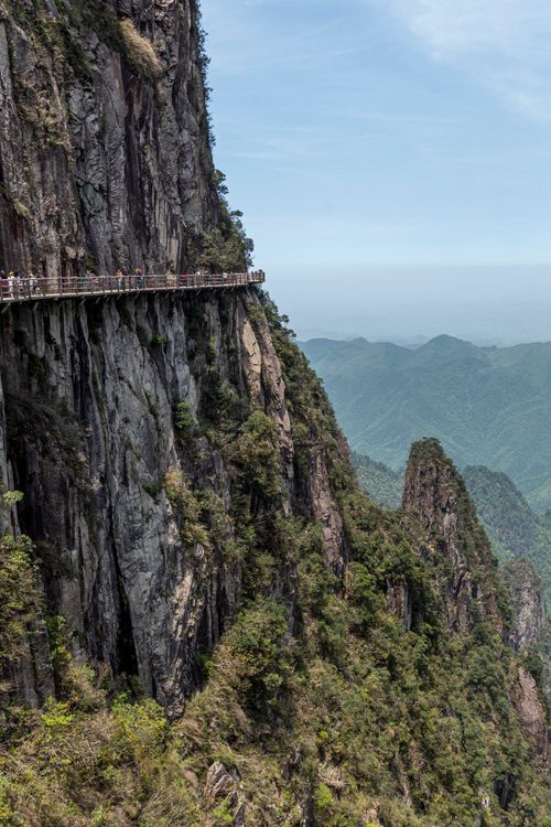 Free A breathtaking vertical footbridge along a steep mountain cliff with panoramic forest views. Stock Photo