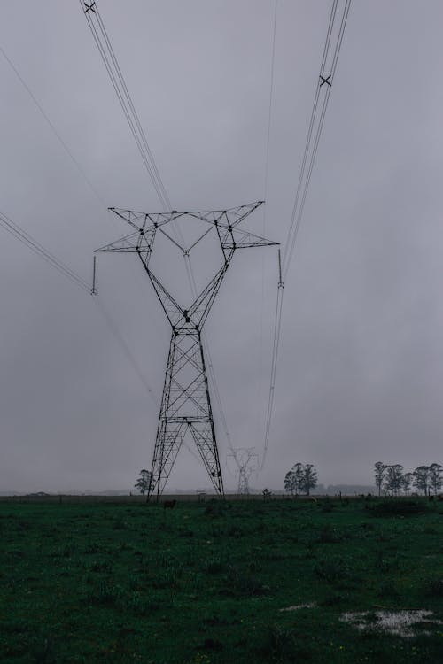 Δωρεάν στοκ φωτογραφιών με γραμμές ηλεκτρικού ρεύματος, ηλεκτρική ενέργεια, ομίχλη