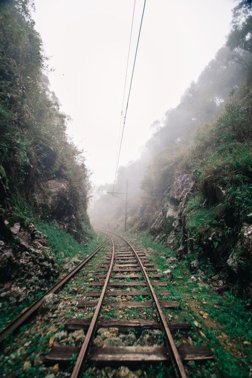 Free A misty railway track cuts through a foggy forest, enveloped with a dreamlike atmosphere. Stock Photo