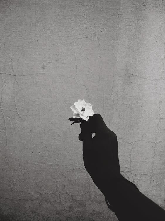 Grayscale Photo of Hand Holding a Flower
