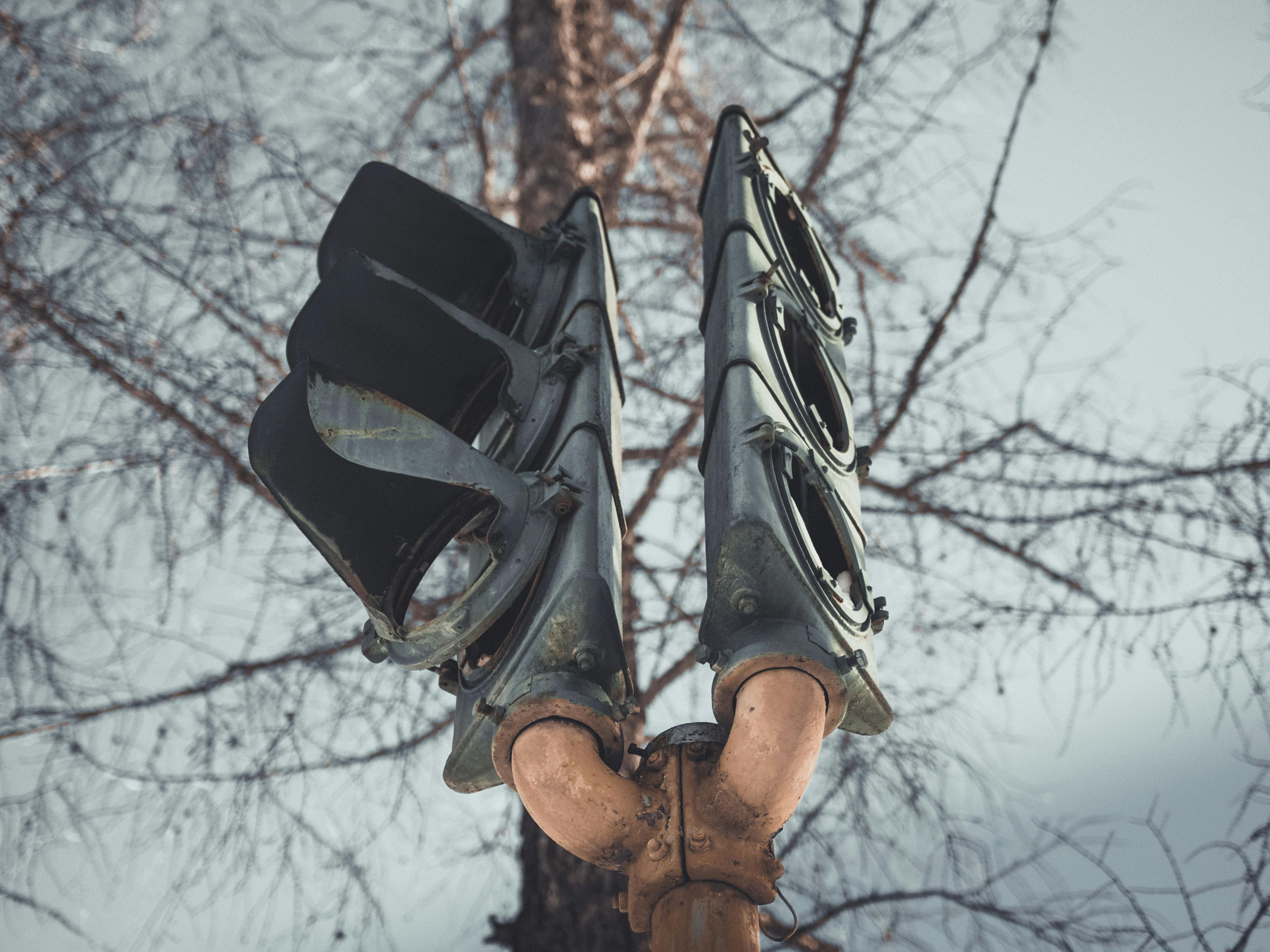 以光秃秃的树为背景，生锈的红绿灯特写象征着城市衰败