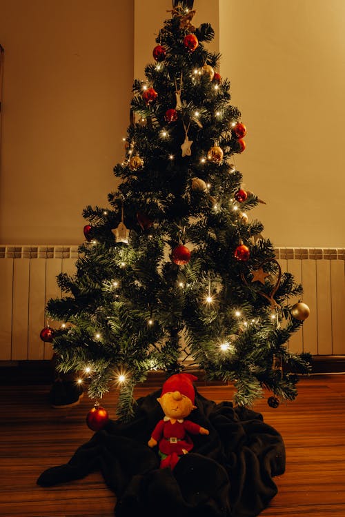 Fotobanka s bezplatnými fotkami na tému dekorácia, dovolenka tapety, ihličnan