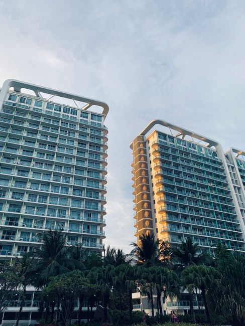 Photo by Marc Ace Querrer Low angle view of modern high-rise buildings surrounded by palm trees in an urban setting.