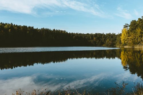 Free Peaceful forest lake with clear water reflections under a vibrant summer sky. Stock Photo