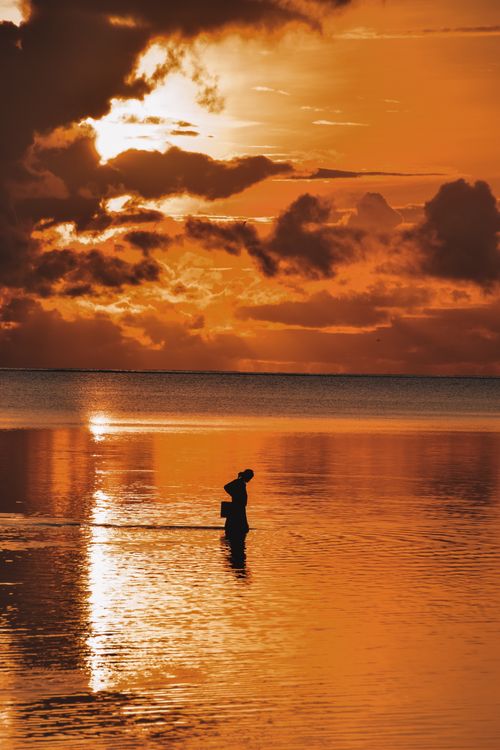 Silhouette of a Person Standing in Water at Sunset · Free Stock Photo